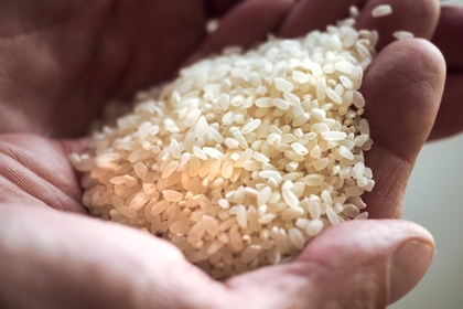 Газета предупредила о риске дефицита риса