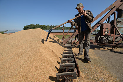 Минсельхоз понадеялся сдержать стремительное падение цен на зерно