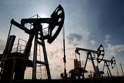 В правительстве заявили о добровольном сокращении нефтедобычи