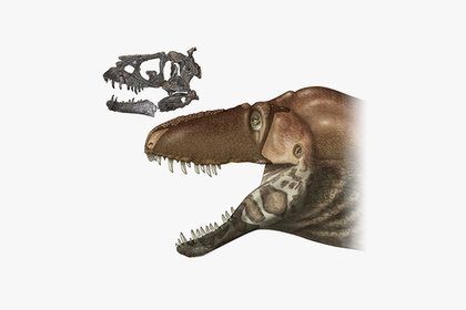 Открыт новый вид тираннозавров