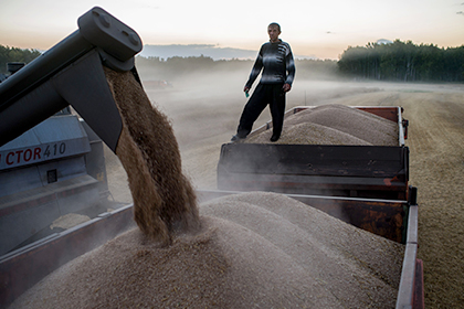 Россия потеряет 500 миллионов долларов из-за турецких пошлин на зерно