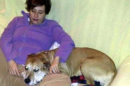 Хозяйка усыпленной из-за Эболы собаки проиграла в суде властям Испании
