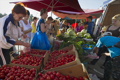 Крым пообещал обеспечить Россию помидорами