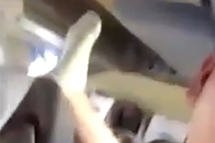 Соцсети разъярила выставившая под нос пассажирам дурно пахущие носки туристка
