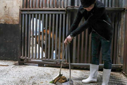 В Китае зоопарк позволил посетителям убирать медвежий помет за деньги