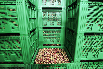 Британские фермеры предупредили о грядущем дефиците фруктов