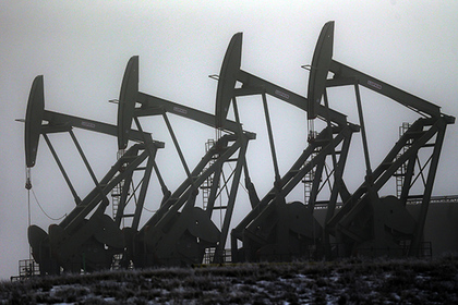 ОАЭ поддержали продление соглашения по сокращению добычи нефти