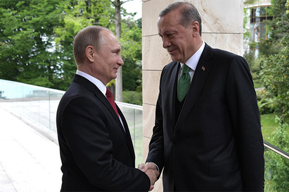 Путин и Эрдоган понадеялись на создание зон безопасности в Сирии