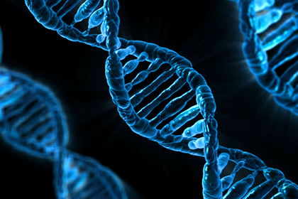 Разгадана главная тайна суперскрученной ДНК