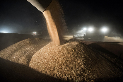 Российскую пшеницу впервые отправили в Турцию после отмены пошлин