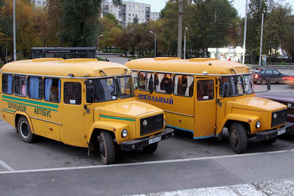 СБУ пресекла попытку купить российские школьные автобусы для Закарпатья