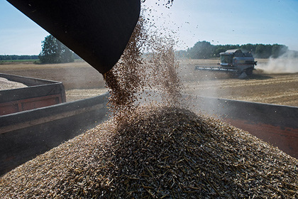 Аналитики предупредили о прекращении экспорта российской пшеницы в Египет
