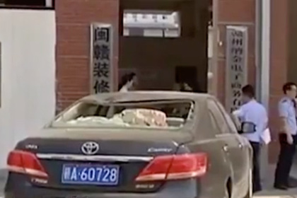 Черепаха разбила автомобиль в Китае