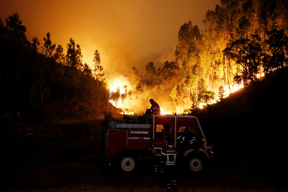 Число жертв лесных пожаров в Португалии выросло до 62
