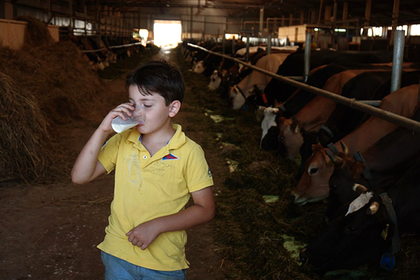 Доказано влияние употребления коровьего молока в раннем возрасте на рост