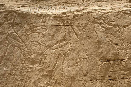 Нашли самые древние египетские иероглифы