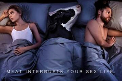 Сексуальный подтекст в рекламе зоозащитников смутил пользователей сети