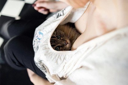 Японец выпустил «лечебный» фотоальбом про котиков и женскую грудь