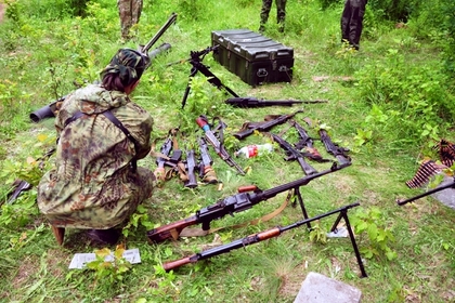 Депутат Рады рассказал о миллионе единиц оружия на руках у украинцев