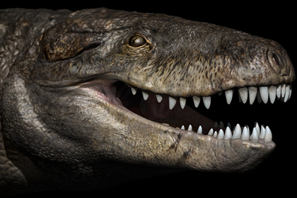 На Мадагаскаре нашли останки «убийцы динозавров»