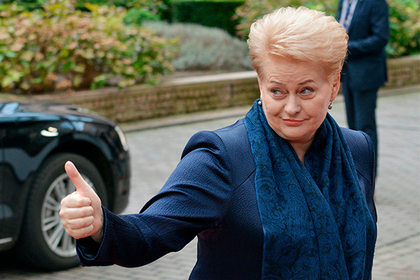 Президент Литвы предложила развернуть в Прибалтике зенитные комплексы Patriot