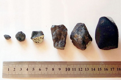 Сотрудники ФСБ нашли украденный из музея в Челябинске метеорит