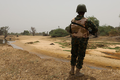 В Нигере боевики на верблюдах похитили 40 человек