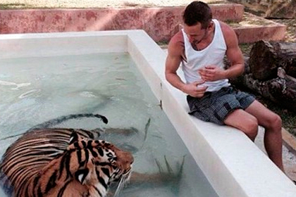Мужчин попросили перестать кадрить девушек с помощью тигров