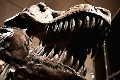 Найден самый крупный динозавр в мире