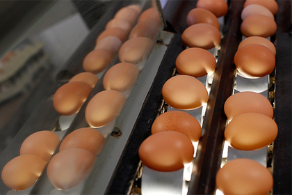 Отравленные яйца из Европы расползлись по 15 странам мира