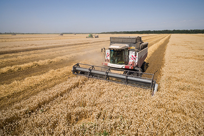 Ткачев пообещал нарастить экспорт зерна при некрепчающем долларе