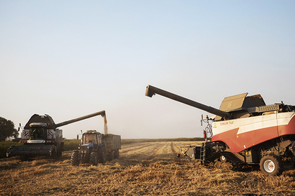 Минсельхоз сообщил о потерях миллионов тонн зерна при уборке урожая