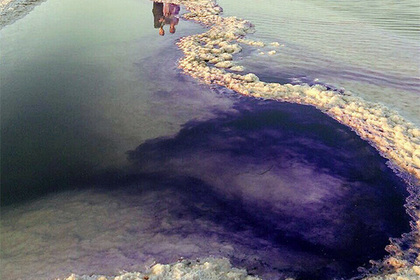 Озеро в Астраханской области покрасили в фиолетовый ради свадебной фотосессии