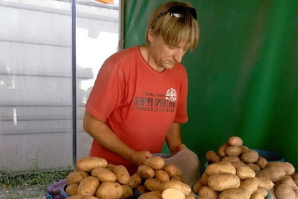 Посетителям люберецкого рынка привиделся Плющенко за прилавком с картошкой
