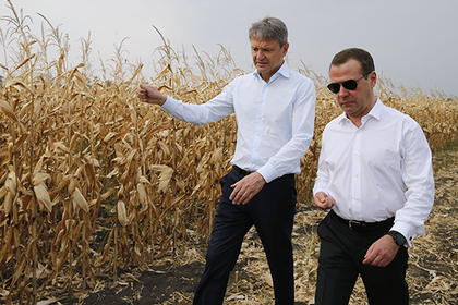 Ткачев сообщил о потере 1,5 миллиарда рублей из-за гибели части урожая