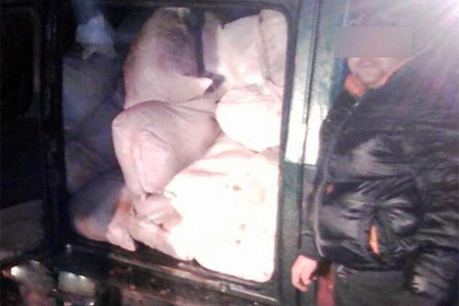 Через границу Украины и России перебросили тонну зараженного чумой мяса