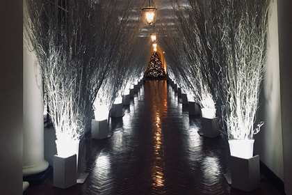 Рождественские украшения в Белом доме сравнили с декорациями в фильмах ужасов