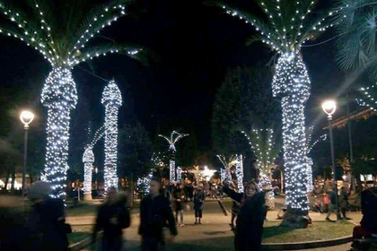 Идею стилизовать рождественские пальмы под светящиеся пенисы признали неудачной