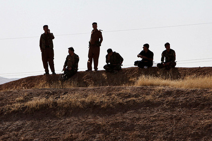 Курды завысили турецкие потери в 20 раз