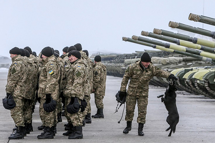 Подсчитаны объемы международной помощи армии Украины