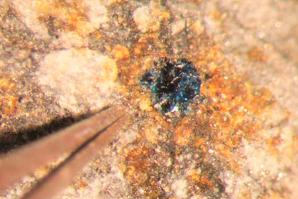 В метеоритах нашли источник жизни на Земле
