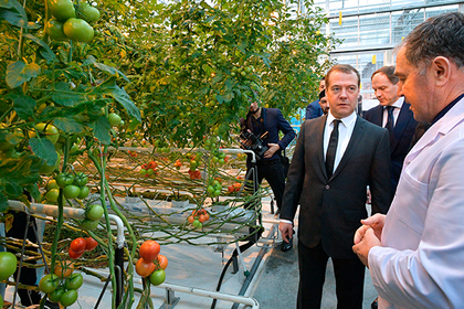 Кадыров показал Медведеву свои помидоры