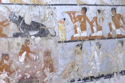 В Египте нашли затерянную гробницу с обученными обезьянами