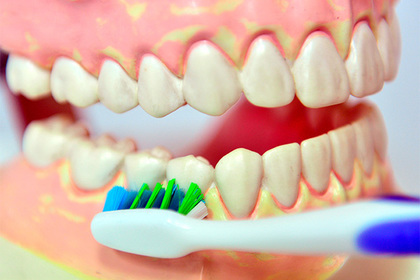 В сети разгорелся спор о правильном методе чистки зубов