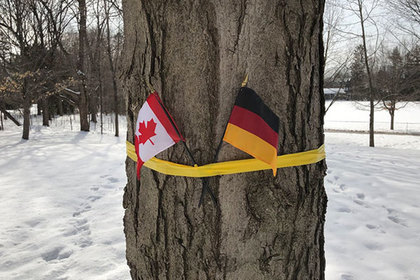 Канадцы встретили королевскую чету Бельгии немецким флагом и не смутились