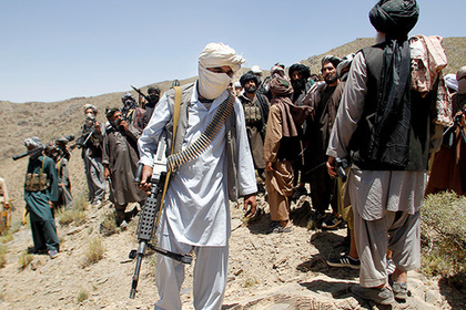 Талибы решили отказаться от войны и поработать