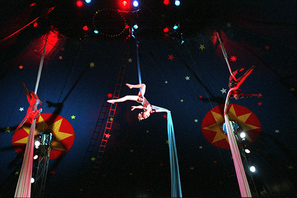 В цирке «Шапито» разбился гимнаст