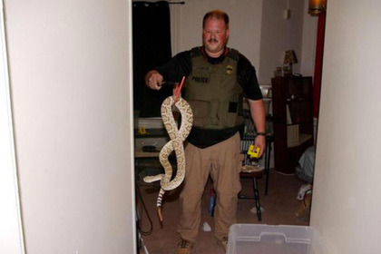 В квартире бывшего сотрудника зоопарка нашли кобру и еще 16 опасных рептилий