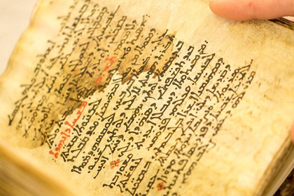 Восстановлен уничтоженный христианами древний медицинский текст