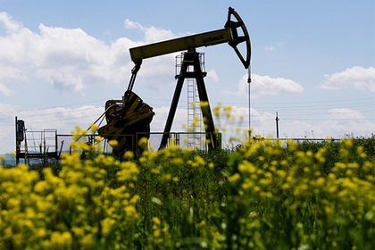 Пострадавшую от санкций российскую экономику спасет нефть
